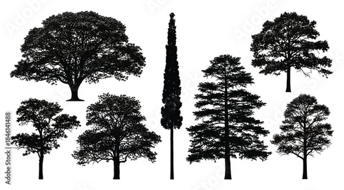 Silhouettes of eight distinct tree types arranged in two rows, showcasing varied canopy shapes and branching structures, symbolizing botanical diversity, landscape design, environmental study, and art