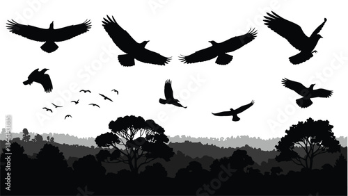 Silhouette of soaring birds above a forest landscape at dusk
