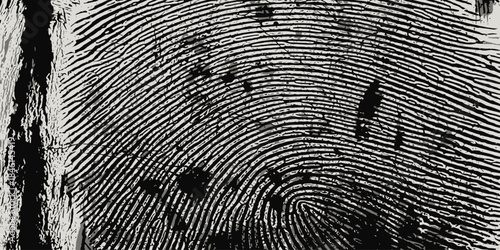 Distressed Vector Fingerprint Pattern Rough Grunge Texture Biometric Security Background Black and White Graphic Resource