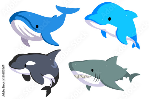 クジラ　イルカ　シャチ　サメ　まとめ