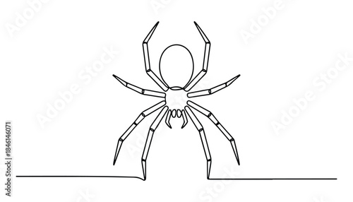 One continuous line illustration of an spider , isolated on white background.