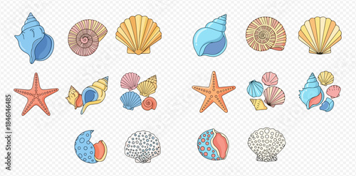Colorful hand-drawn set of various seashells and starfish illustrations on a transparent background.