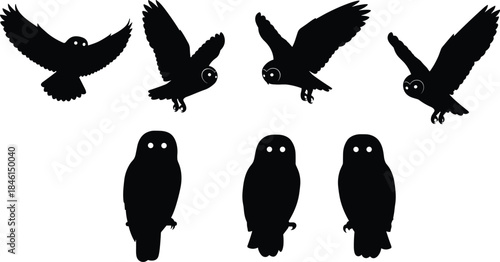 Set of owl silhouette icons in flying and perched positions, black wildlife bird illustration for nature design, education, logo, and decorative artwork
