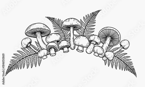 A cluster of mushrooms and ferns in a forest setting