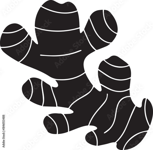 Ginger root icon vector flat design on white background. Ginger icon