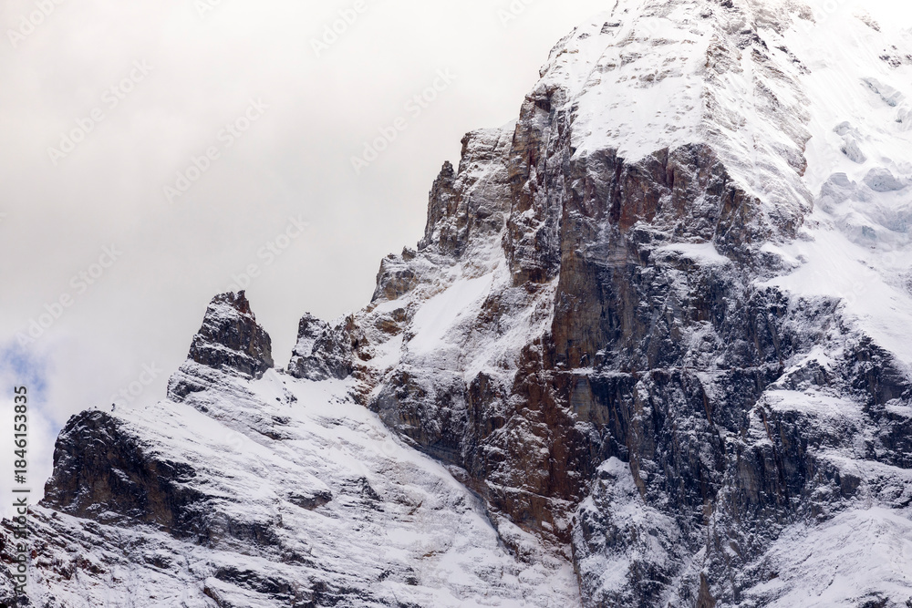 Obraz premium Colorful in autumn forest and snow mountain at Yading nature reserve, The last Shangri la