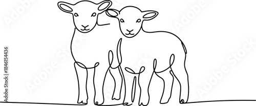 Two lambs standing side by side line drawing sheep