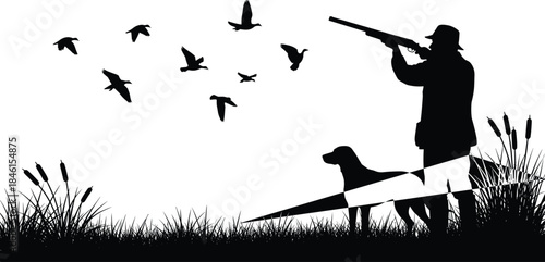 Silhouette hunter aiming shotgun with hunting dog in marsh grass, flying ducks in wildlife scene, outdoor sport nature adventure vector illustration