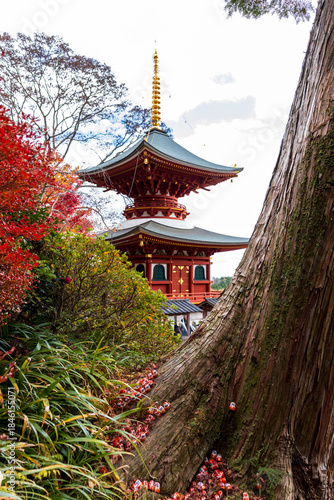 Katsuoji Temple with beautiful foliage in autumn in Kyoto, Japan