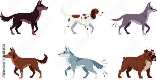 Walking Dog Breed Character Set with Different Sizes Colors and Fur Types in Flat Cartoon Vector Illustration