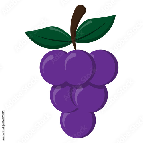 Bunch of Purple Grapes with Green Leaves