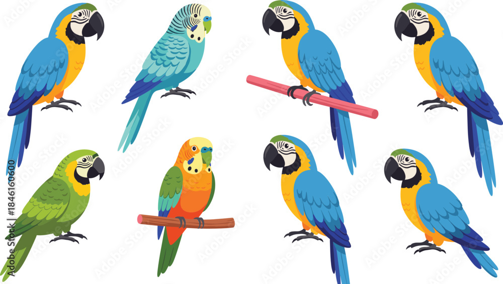 Naklejka premium Colorful Parrot Character Set with Macaw and Budgie Birds in Different Poses Flat Cartoon Vector Illustration
