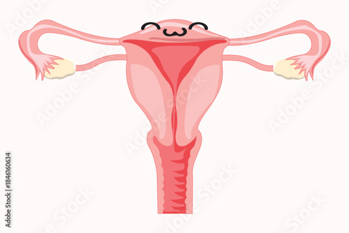 Cute smiling uterus illustration representing healthy female reproductive system and women’s health concept.