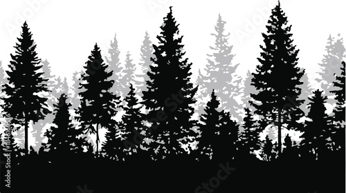 silhouette of fir trees, forest landscape. On white background