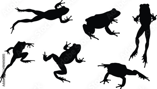 Frog, silhouette, jumping, crouching, climbing, motion, anatomy, amphibian, pose, dynamic, black, white, vector, flat, cad, drawing, illustration, leaping, stylized, 