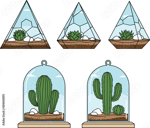 Cute Cactus Terrarium Set with Glass Geometric Containers and Desert Plants in Flat Cartoon Vector Illustration