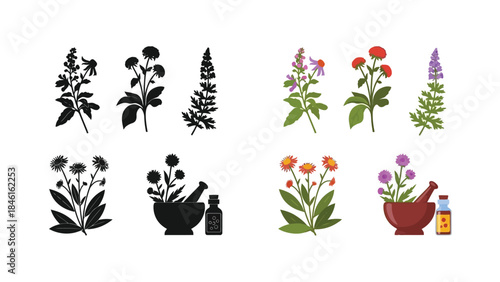 A collection of floral arrangements and herbal apothecary tools in silhouette