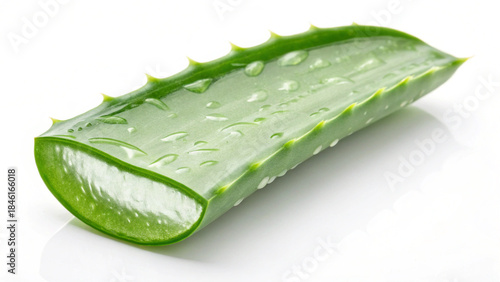 Fresh aloe vera leaf slice with water droplets on a clean white background green