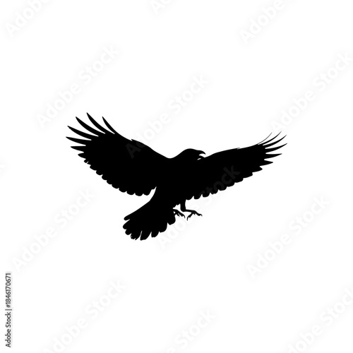 Black silhouette of an eagle flying with spread wings and open beak isolated on transparent background