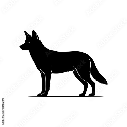 Black silhouette illustration of a standing wolf or canine figure isolated on white isolated on transparent background