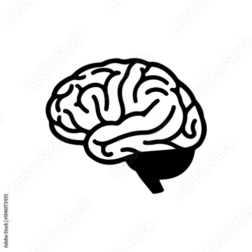 Minimalist black and white outline drawing of the human brain anatomy isolated on transparent background