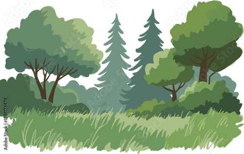 Green forest landscape illustration with trees meadow grass nature background for eco design, cartoon woodland scenery spring environment park vector
