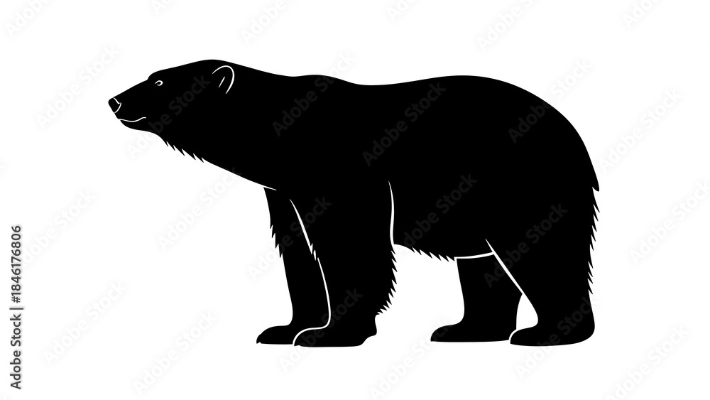 Fototapeta premium silhouette of a bear