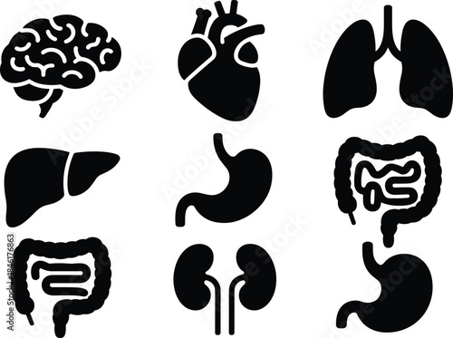 Human, anatomy, organs, icon, set, vector, illustration, brain, heart, lungs, liver, stomach, intestines, kidneys, digestive,