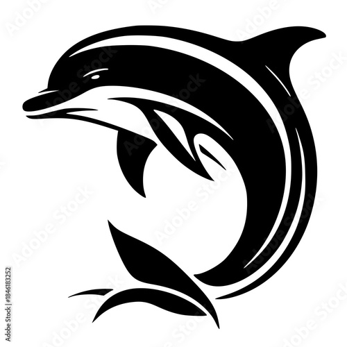 vector image of an dolphin, silhouette of a dolphin 