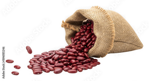 A burlap sack spilling dried red kidney beans onto a surface with isolated on transparent background