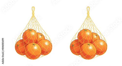 Bright orange fruit in two identical mesh bags against, a food illustration isolated on a transparent background