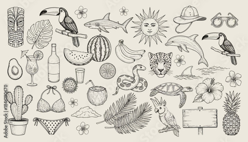 Tropical summer vacation elements and symbols in hand-drawn sketch style for design