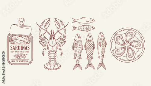 Rustic Hand-Drawn Seafood Delicacies A Diverse Collection of Marine Life Illustrations Featuring Sardines, Lobster, Fish, and Oysters in Classic Retro Style