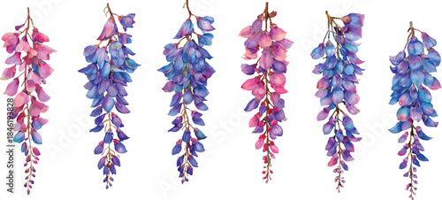 set of colorful ribbons isolated