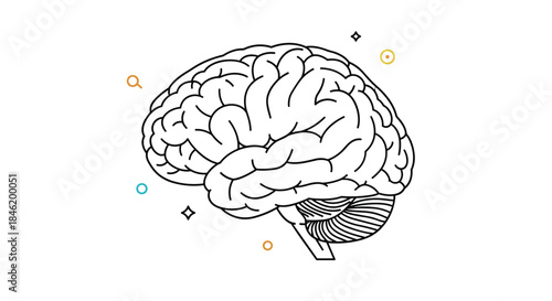 Clean line art illustration of a human brain with subtle colorful geometric accents, representing intellect, ideas, and cognitive functions.