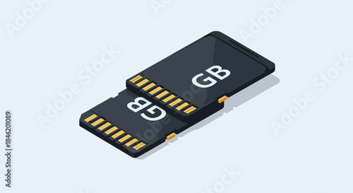 Illustration of two isometric SD memory cards, dark gray with gold contacts and 'GB' labels, stacked to represent digital data storage and electronic media.