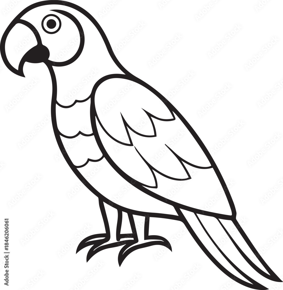 Obraz premium Parrot Vector Illustration | Tropical Bird Line Art Design