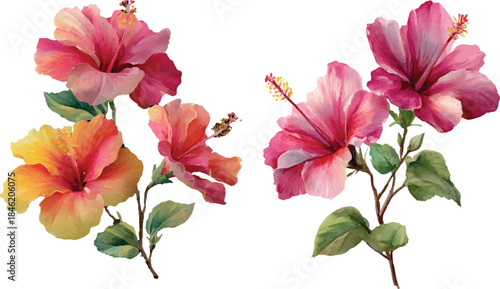 pink and white flowers isolated