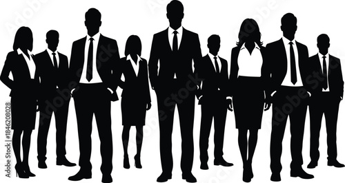 Confident business professionals standing together in a line