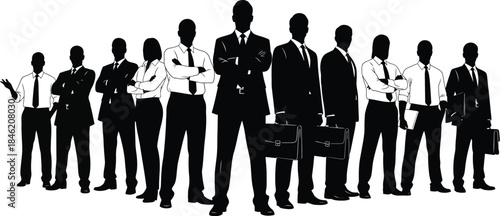 Confident business professionals standing together in a line