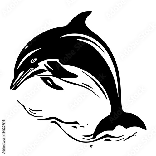 dolphin silhouette isolated on white , vector illustration of a dolphin 