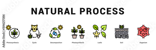 Natural Process Modern and clean web banner illustration featuring thematic icons for visual communication