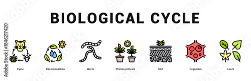 Biological Cycle Modern and clean web banner illustration featuring thematic icons for visual communication