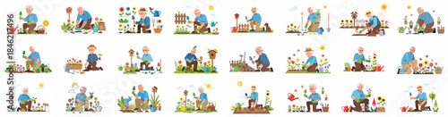 Happy Elderly Men Gardening Illustration Set: Grandfather Planting Flowers, Enjoying Active Retirement, Hobby, and Springtime Horticulture.