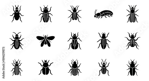 A close-up shot of a rustic wooden table featuring a fresh artisanal sourdough loaf and a ceramic bowl of ripe red strawberries in natural morning light