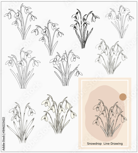set of vector snowdrop linedrawing elements