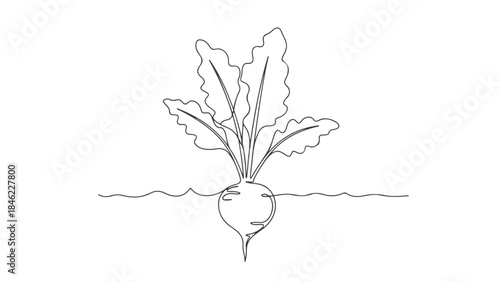 A simple line drawing of a beet plant growing in the soil with its leafy greens above ground and the root visible below the surface.