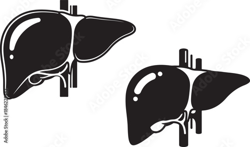 Black and white human liver illustration
