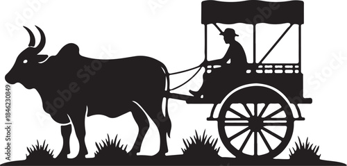 Bull cart transportation