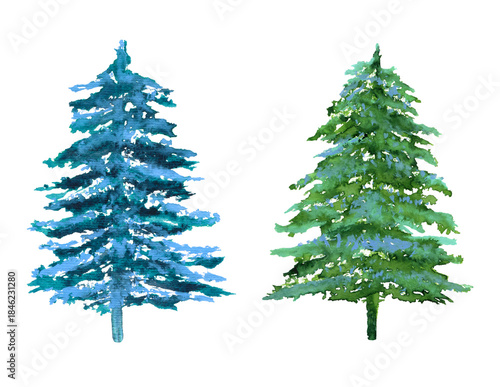 Blue and green spruce watercolor set isolated on white